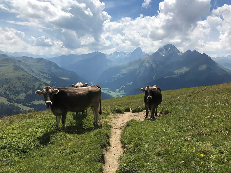 Schöne Wanderwege in der Schweiz