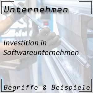 Investition in ein Softwareunternehmen